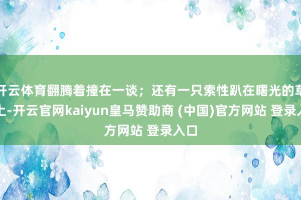 開云體育翻騰著撞在一談；還有一只索性趴在曙光的草地上-開云官網(wǎng)kaiyun皇馬贊助商 (中國)官方網(wǎng)站 登錄入口